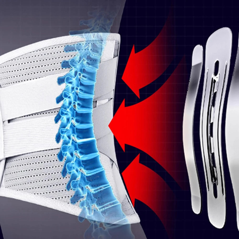 “Back Brace – Lumbar Support Belt for Lower Back Pain, Sciatica & Herniated Disc”